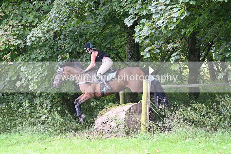 WJ7_8138 - Time 14:11 to 14:30