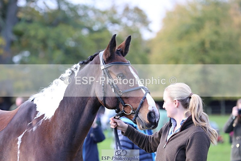 251026A-101610-22839 - D-341-Charlotte.Northcott