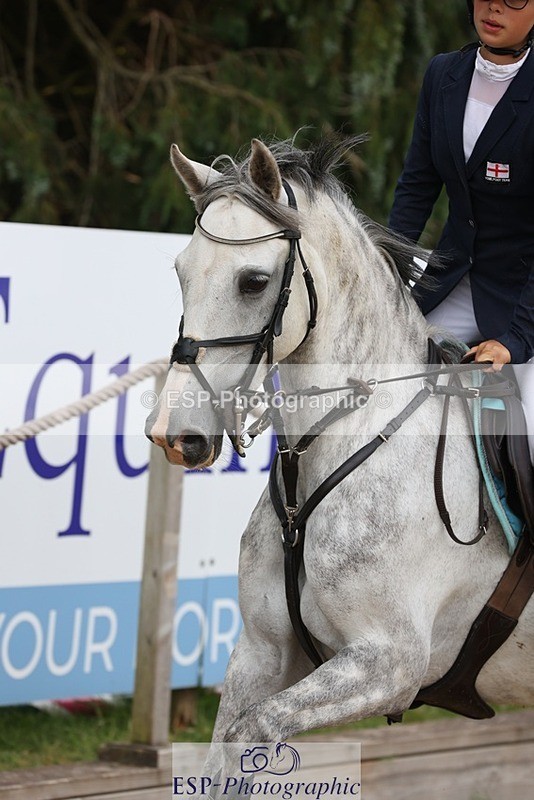 230618-083527-09279 - Cls 19 Pony Intro 1m