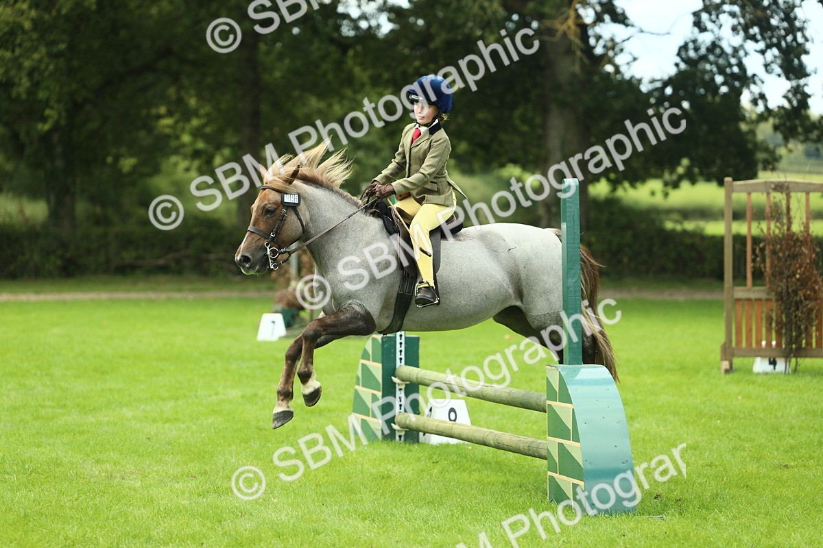 SBM_42782 - S30 - M&M Working hunter Pony