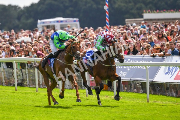 290723-Race 1-Soul Seeker-0273 - Race 1 2.05pm Sky Bet 'Jump Jockeys' Nunthorpe' Handicap