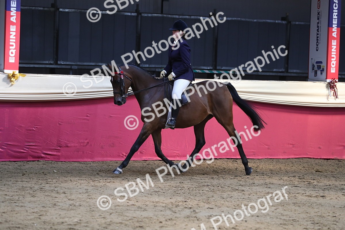 SBM_08362 - Class 11R Regional Ridden Veteran