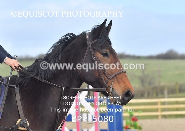 BPP_5080 - CLASS 1 Club/ Unaffiliated 70cms Open