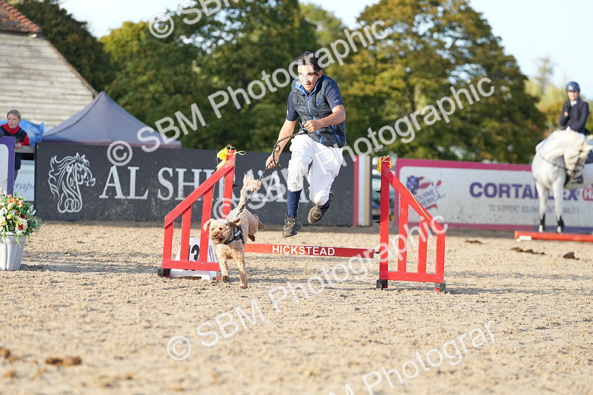 SBM_29445 - J44 - Horse & Hound Open 70cm