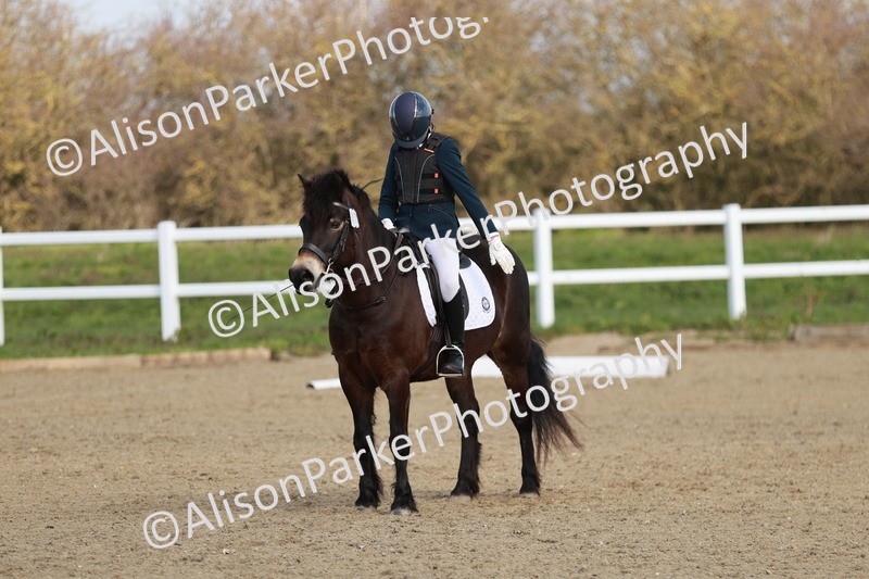 20260314-1090 - DR2 - Intro 3