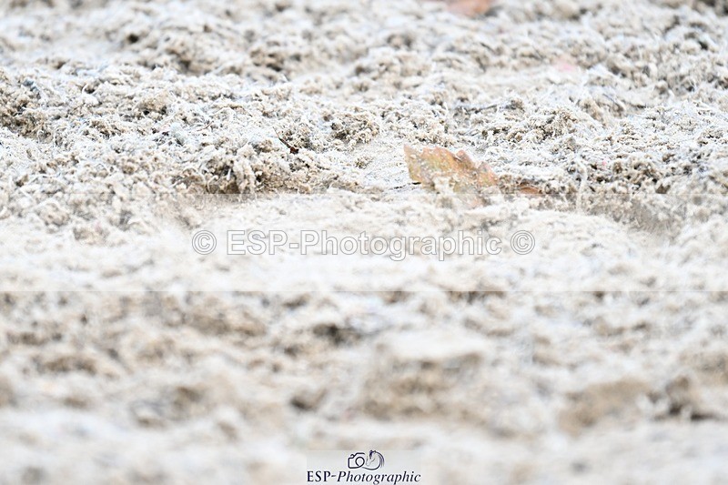 231110-143800-01983 - Cls 8 Medium 75Q