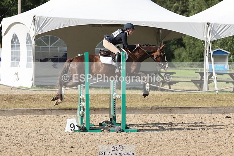 250803A-170923-17761 - R-821-Josephine.Grey-GEMMASTON.ALL.THAT.GLITTERS