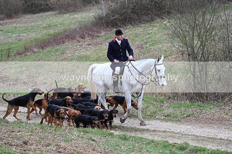 WJ7_7325 - Walk Home