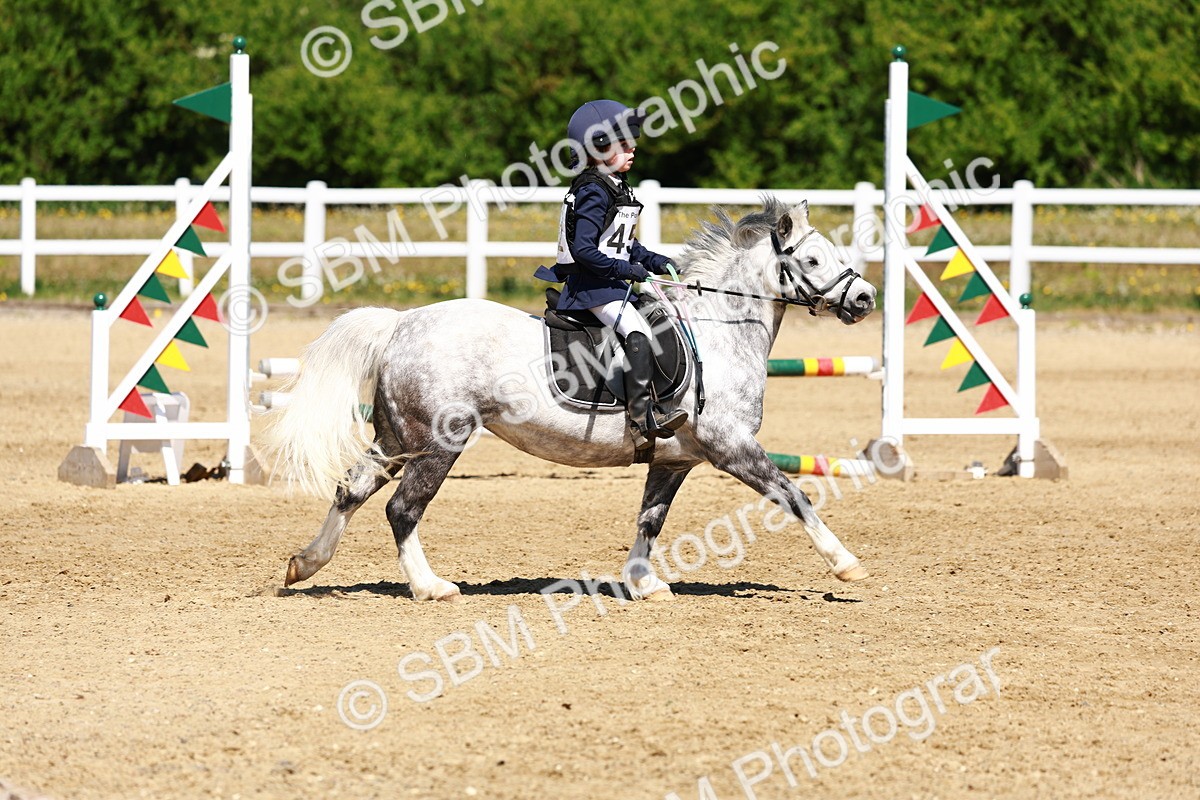 SBM_007281 - Class 3 - 60cm