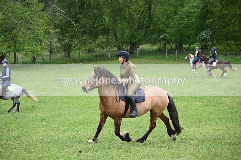 WJ6_3357 - A camera