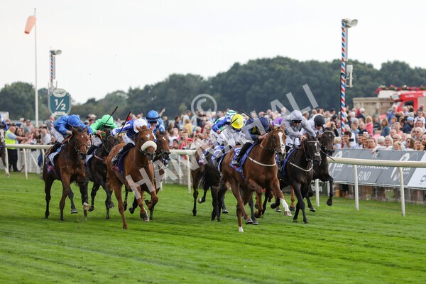 yr18082022r1-14 - Race 1 1.50pm Sky Bet Lowther Stakes