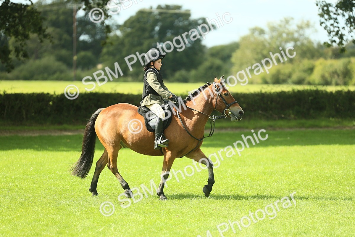 SBM_44624 - S31 - Working Hunter Pony