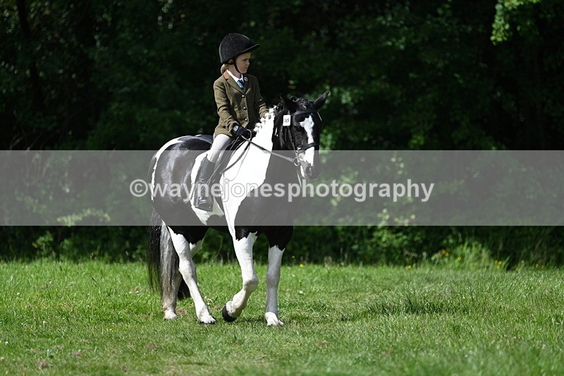 WJ7_0997 - Class 11 Condition & Turnout