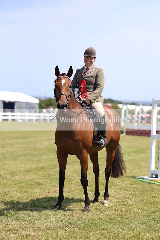 3E7A9427 - Class 12: Open Racehorse to Show Horse