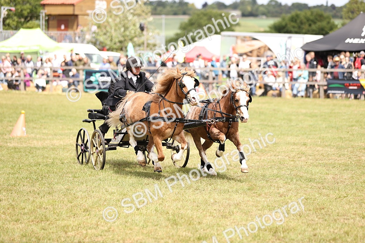 SBM_15277 - Class 90 - Scurry 122cm and Under