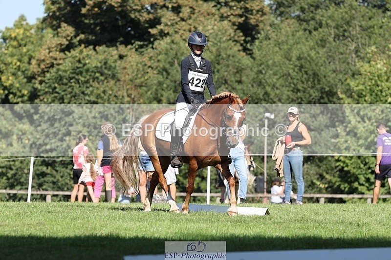 250823A-103606-27739 - Arena D