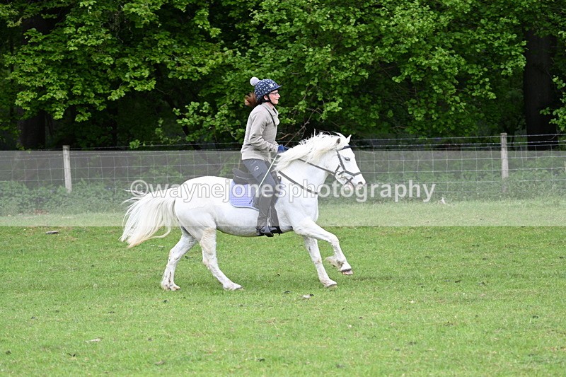 WJ7_2206 - Group 3 A&B Cameras