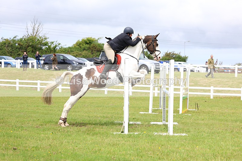 3E7A6982 - Class 11: Senior Newcomers/1.10 open