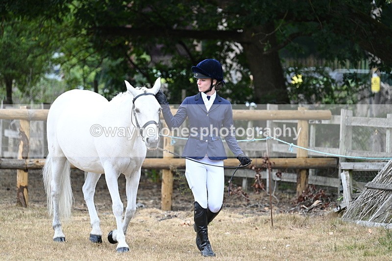 WJ7_8665 - Class 4a Prettiest Mare 14.2hh and over