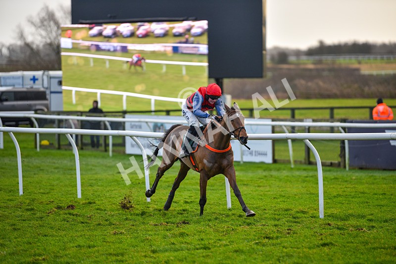 281223-Race 4-Lavida Adiva-2-6 - Race 4