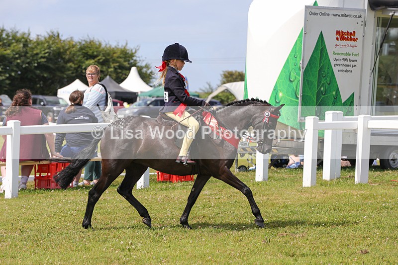 1X9A3856 - Plaited Mini Ridden Championship