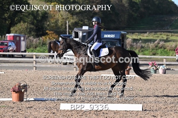 BPP_9336 - SHORT ARENA