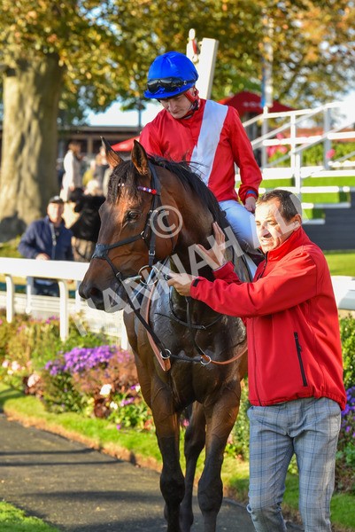 141023-Race 7-Star Ahoy-1737 - Race 7 4.45pm Coral 'Committed To Safer Gambling' Finale Handicap