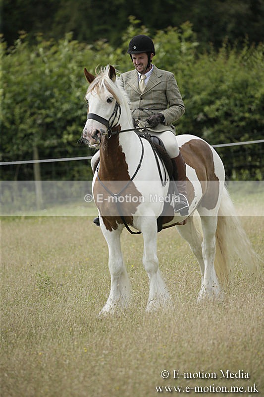 B230619-0443 - Bourne Valley Riding Club Summer Show 23/06/19
