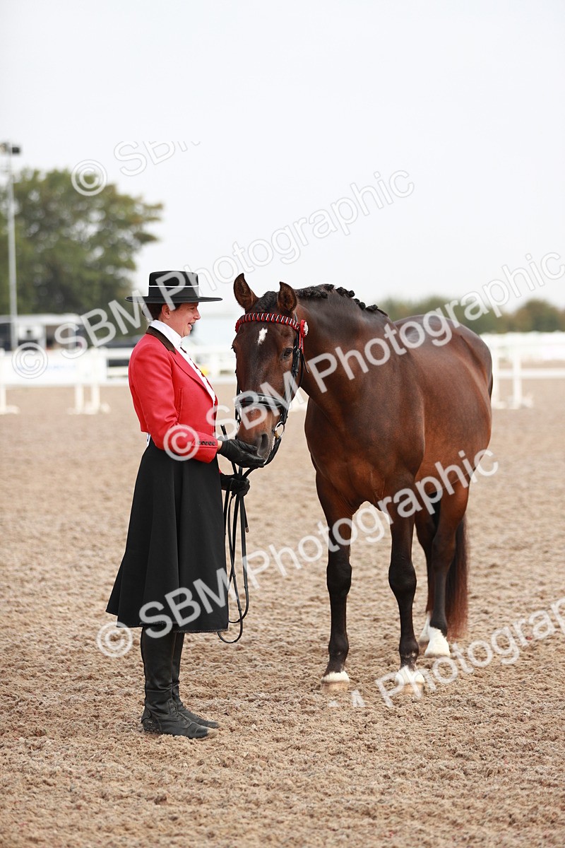 SBM_09514 - Class 201 Best Turned Out IH