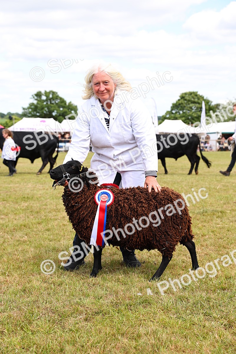 SBM_16965 - Grand Parade