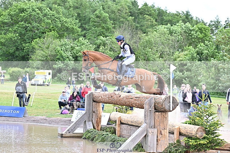 250525A-125251-16112 - D-453-Daisy.Berkeley-DIESE.DU.FIGUIER