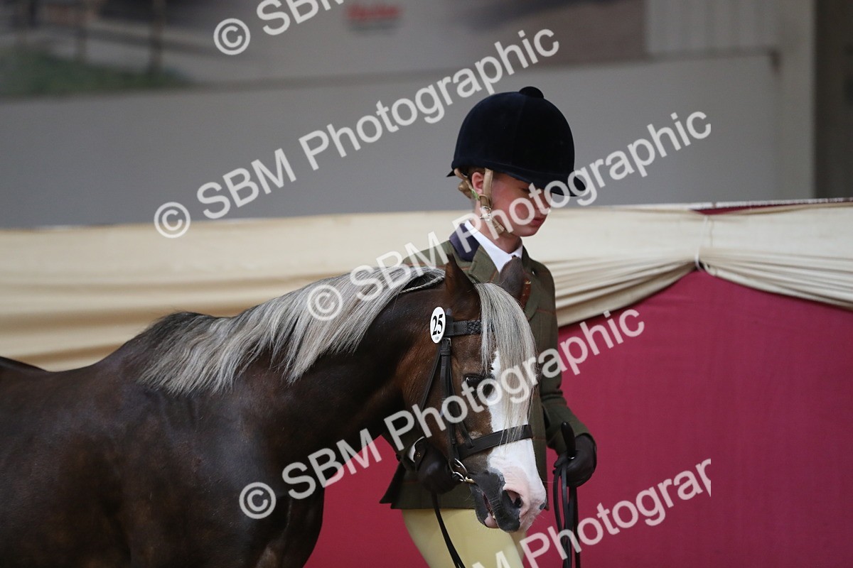 SBM_04295 - Class 7R Regional - IH Diamond