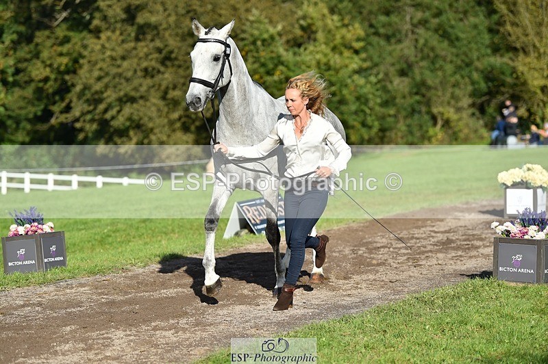 231022-112258-23923 - 557-KILBALLYBOY.SURPRISE-Courtney.Romcke-TrotUp+SJ