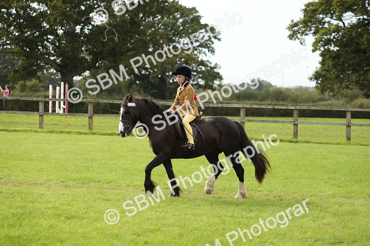 SBM_71513 - S41 - Ridden Equitation (Best Rider)
