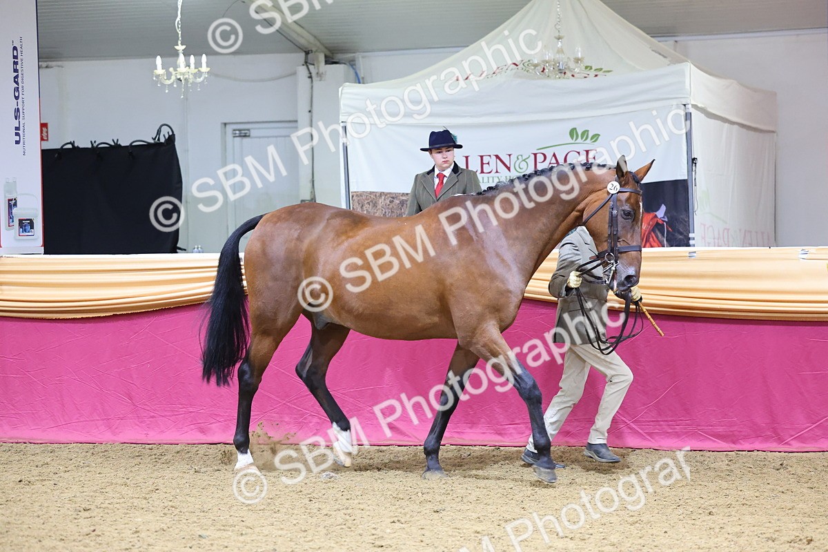 SBM_19417 - Class 901 - Supreme Final - IH Diamond