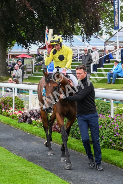 120724-Race 5-Sisyphean-6313 - Race 5 4.20pm George Blades Memorial Handicap