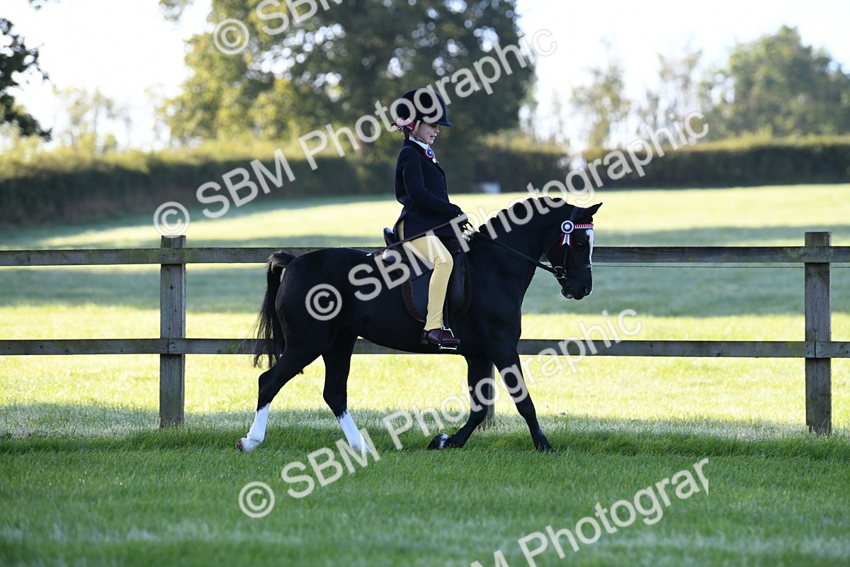 SBM_33976 - S16 - Condition & Turnout - Ridden