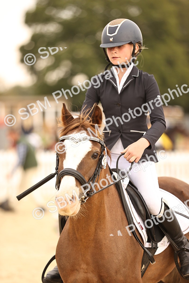 SBM_74305 - J14 - Junior Pony 65cm Championship
