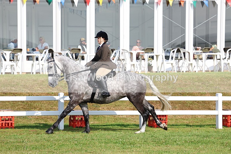 3E7A8596 - Class 3: Rising Star S/L Hunter