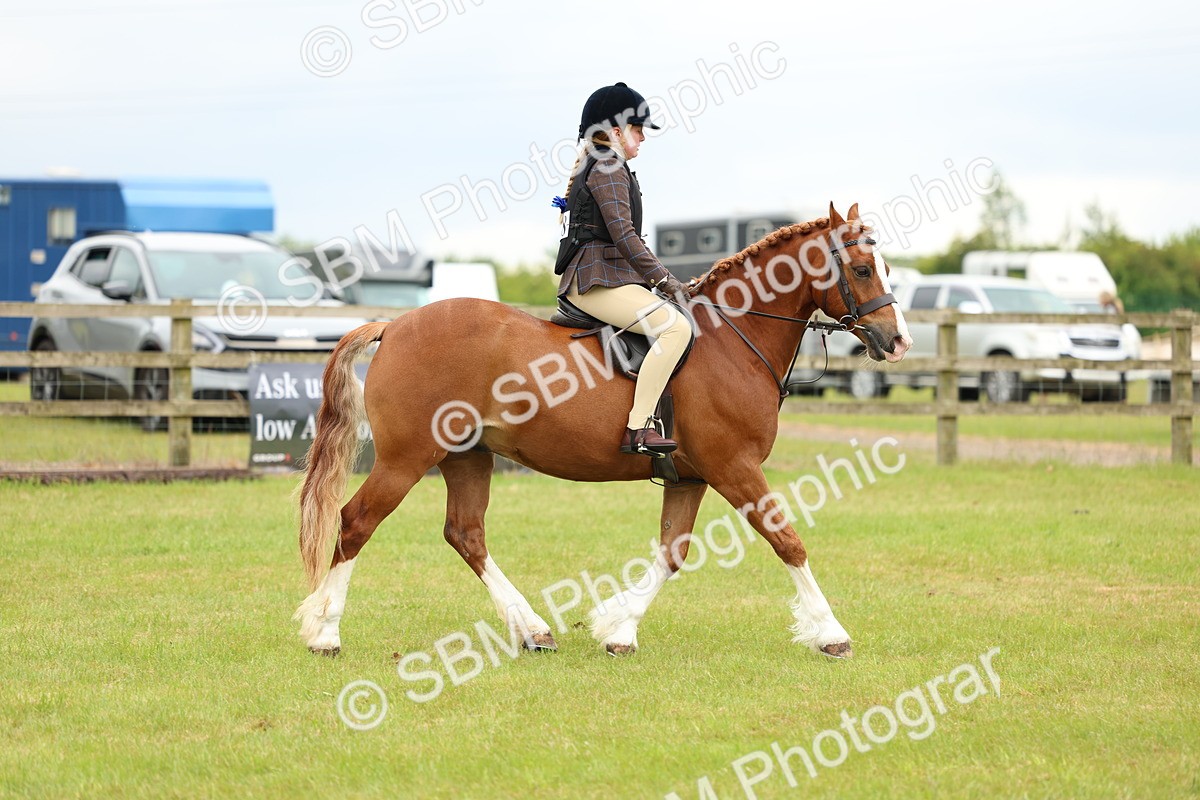 SBM_10343 - Class 44-45 - LIHS BSPS Open Nursery and Cradle Stakes