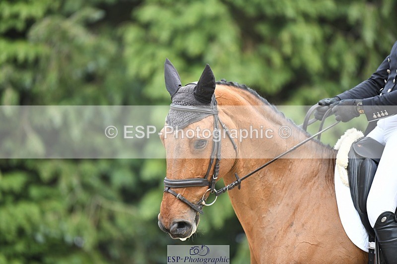 230525-153023-03263 - 327-ROMANTIC-Rosie_Fry-WEDTrotUp+DR