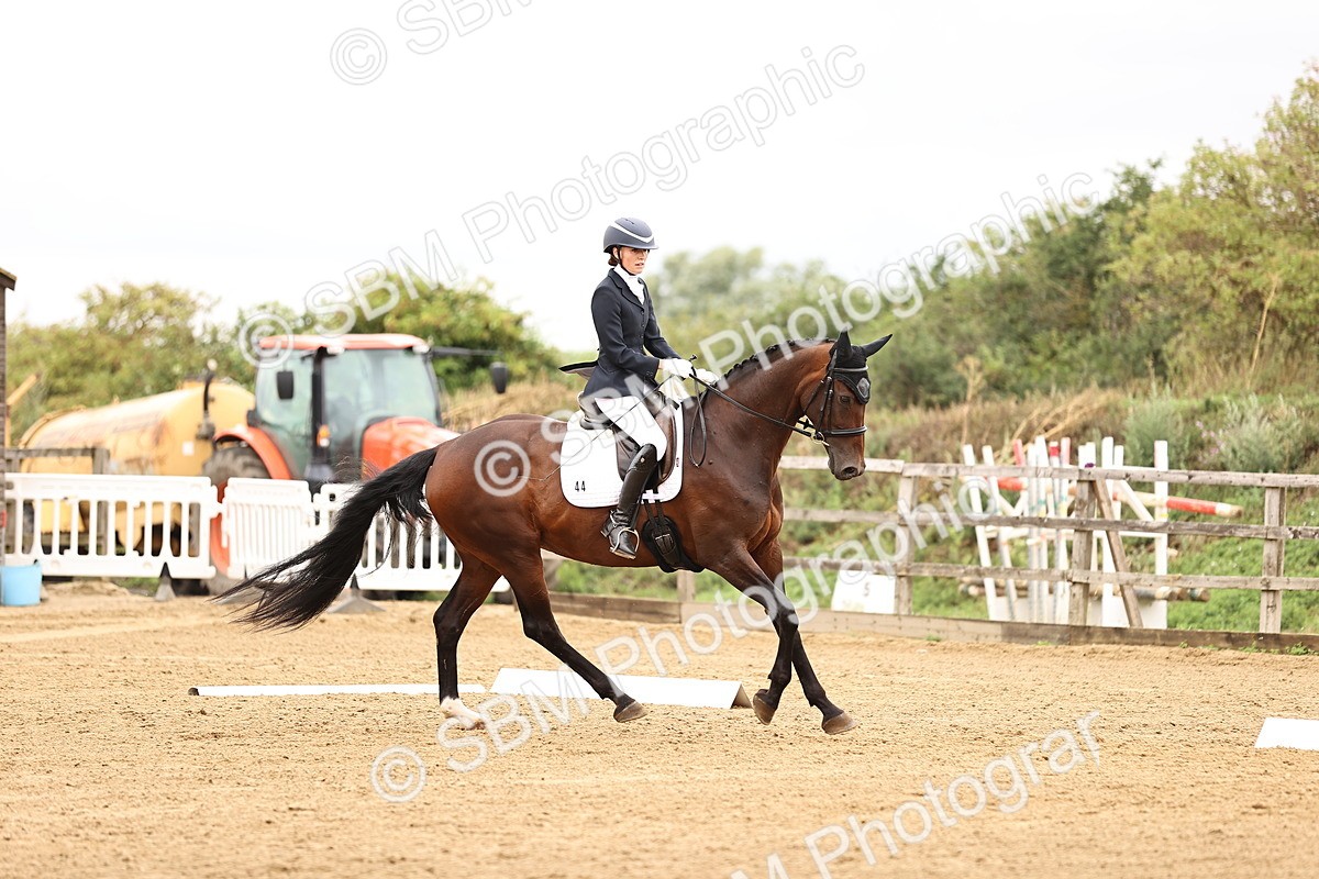 SBM_004001 - Class 7-10 - Novice 2-Elementary 2