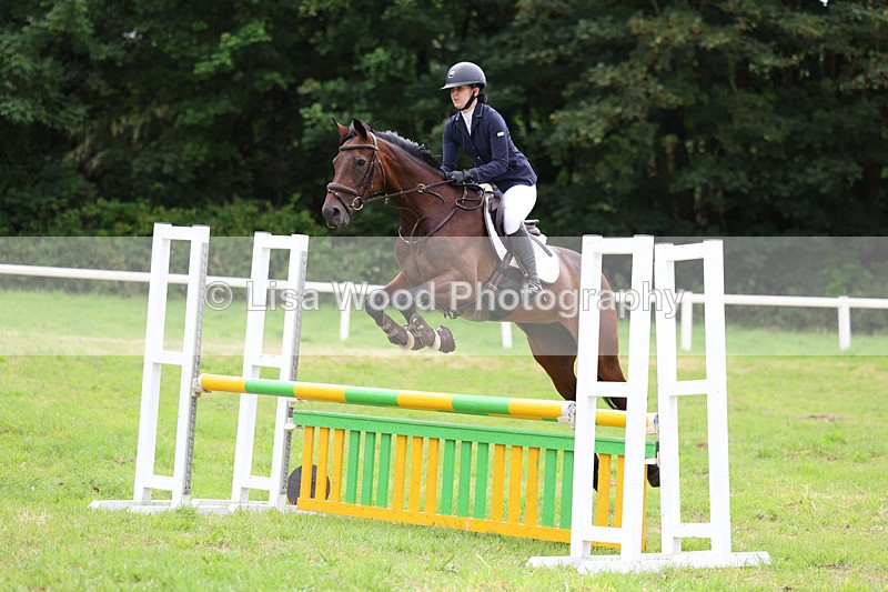 3E7A7266 - Class 5: Senior British Novice/90cm open