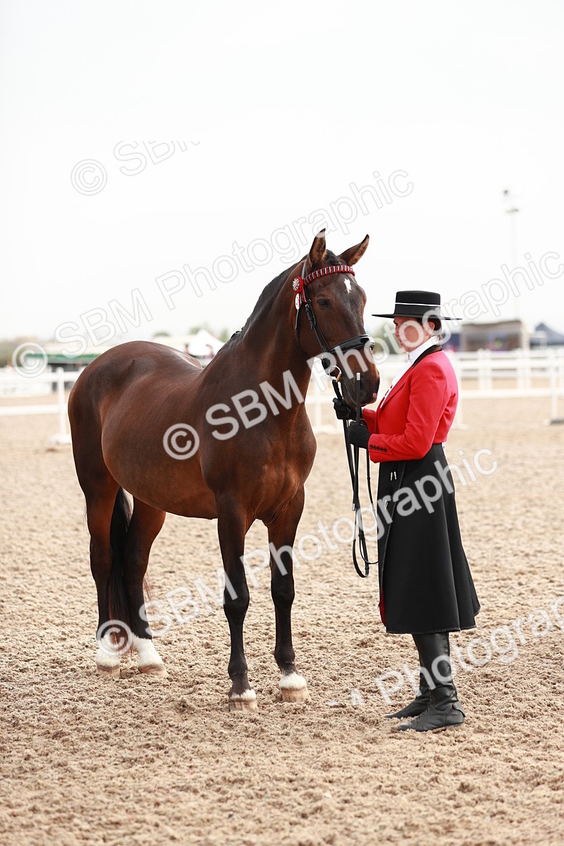 SBM_09557 - Class 201 Best Turned Out IH