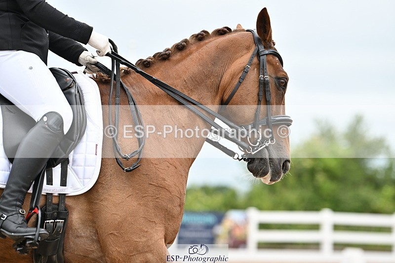 240623A-140652-18936 - Cls 51 BD Elementary 53