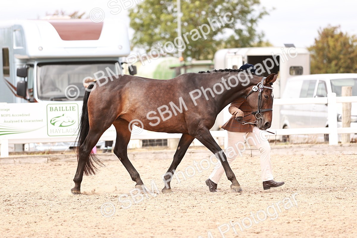 SBM_16305 - Class 413 - Best Condition - Adult