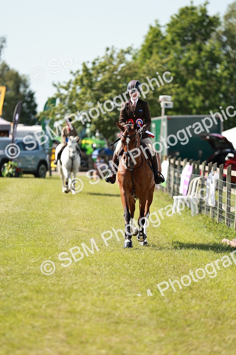 SBM_18559 - Class 112-113 - BSPS LIHS Working Sports Pony