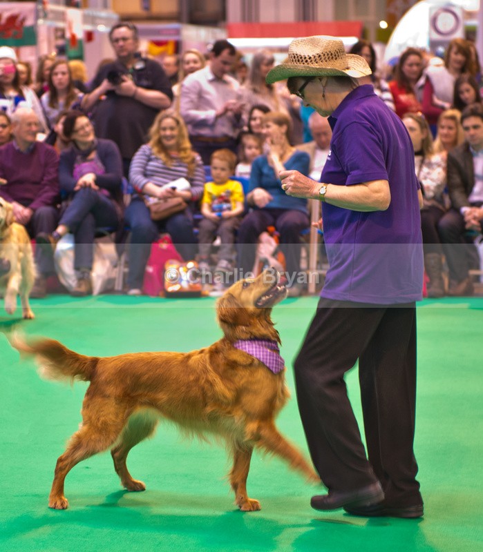  - Crufts 2015