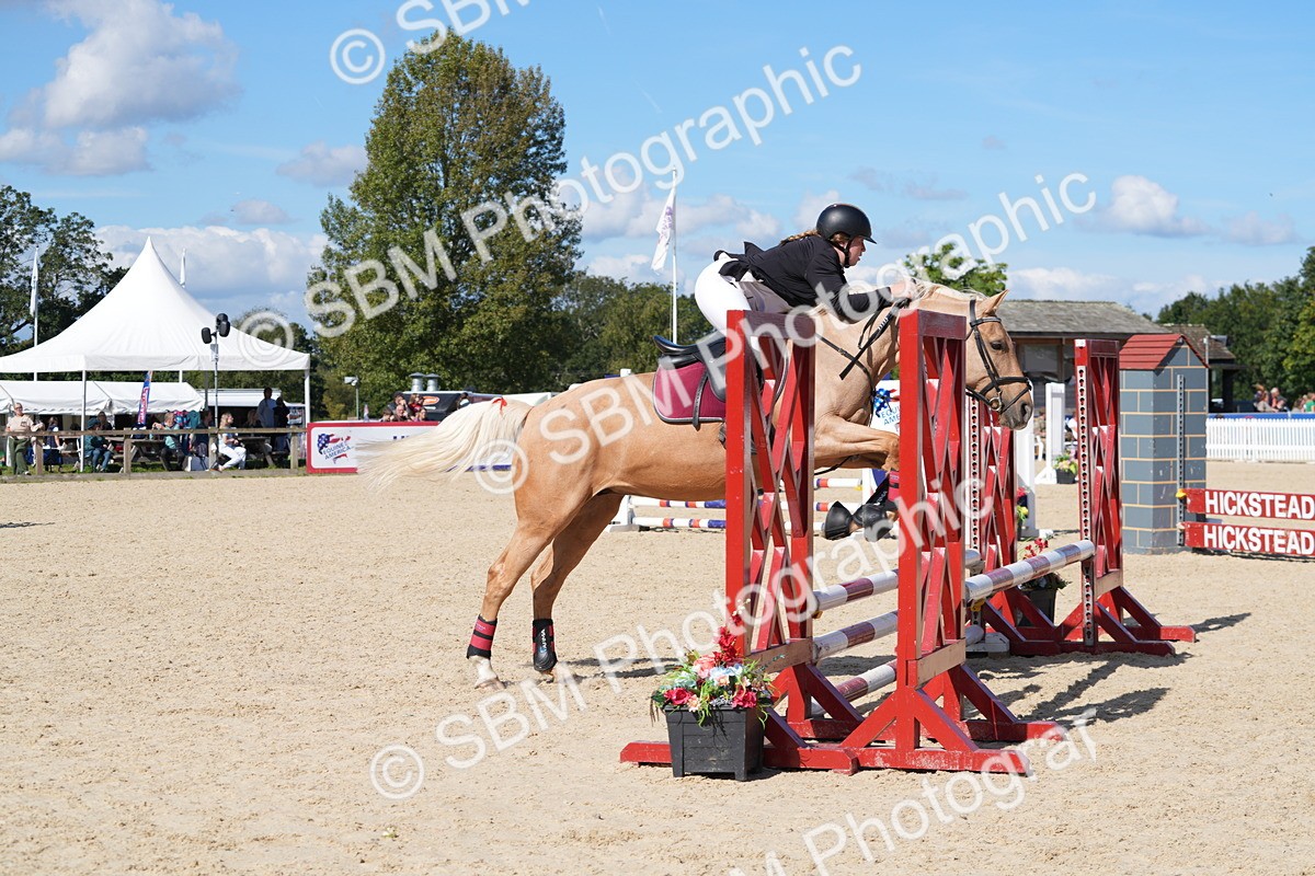 SBM_38805 - J21 - Junior Horse 60cm Championship