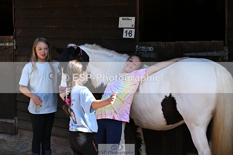 240729B-091249-01741 - Monday Stable Shots